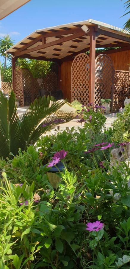 B&B L'Oasi Del Sole Уджано-ла-Кьеза Экстерьер фото